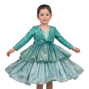 Birthday and party wear blue frock