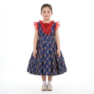 Navy blue panel frock