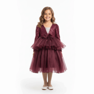 Birthday and party wear meroon frock